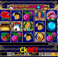 Ckbet Rio de Janeiro - Bonus Terms